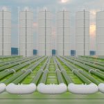 Image of a facility filled with green-colored tubes.