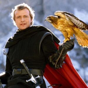 medieval knight on horseback with a hawk on his arm